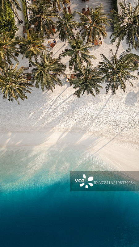 热带马尔代夫海滩泻湖的航拍视角，棕榈树、白色沙滩和碧绿色的浅水，位于豪华岛屿度假村。图片素材