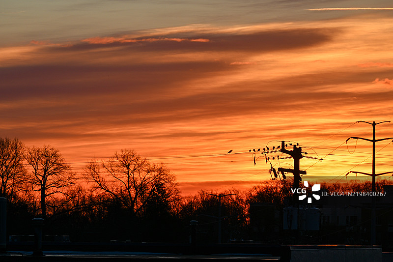 黎明时分电线上的鸟儿图片素材
