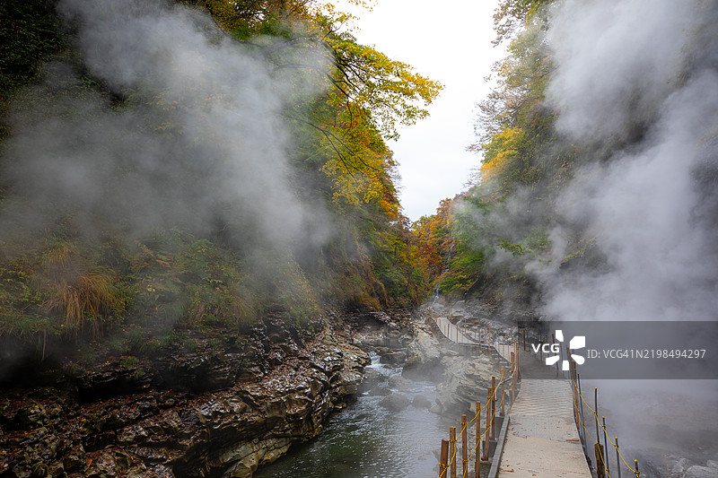 秋天的红叶与温泉蒸汽，位于日本秋田县的汤泽大峡谷图片素材