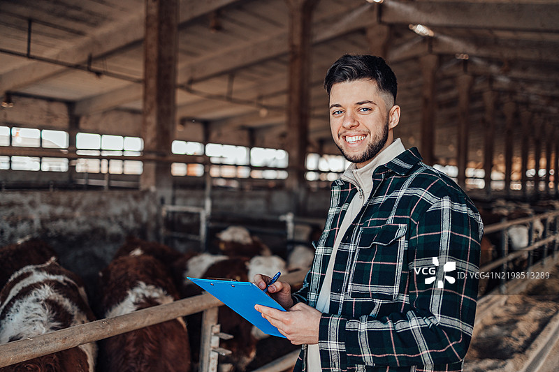 年轻农民在农场与奶牛一起工作。农业行业，耕作图片素材