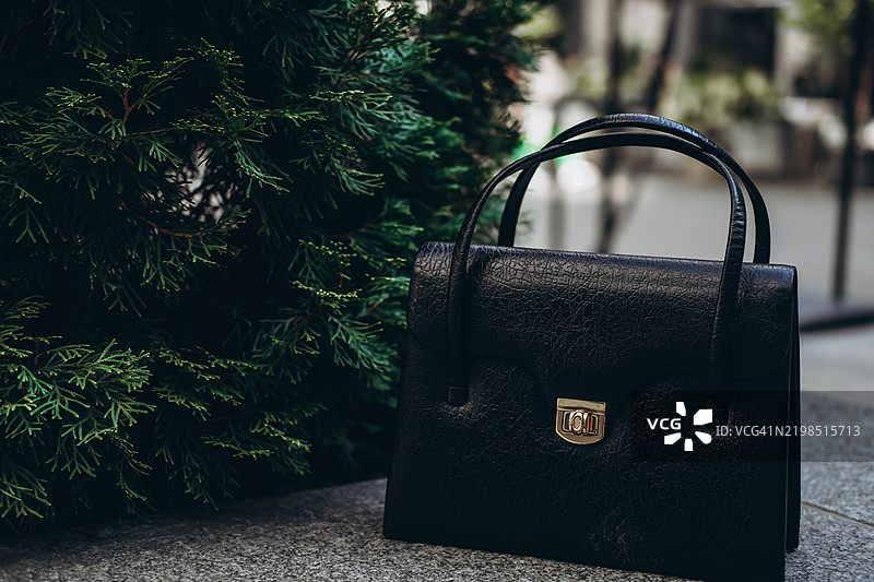 黑色手提包放在花岗岩表面，旁边是一棵柏树。图片素材