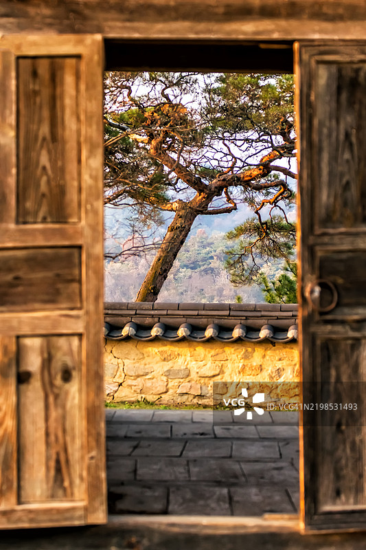 传统木门与庭院景观图片素材