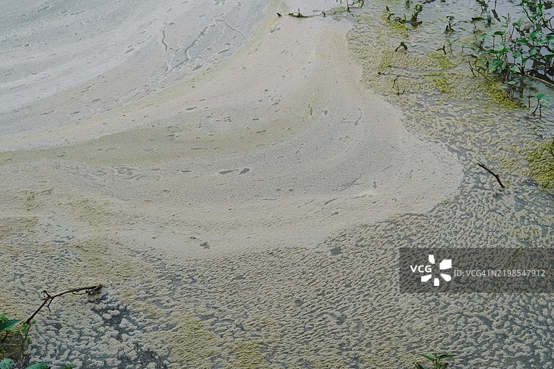 稻田传统灌溉的泡沫纹理全景图图片素材