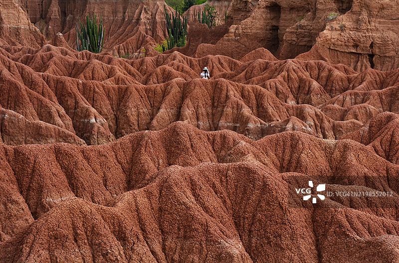 哥伦比亚红色塔塔科亚沙漠图片素材