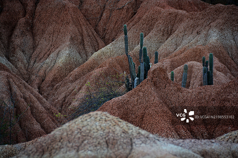哥伦比亚红塔塔科沙漠图片素材