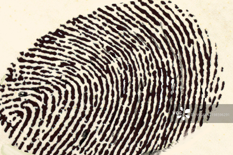 指纹特写图片素材