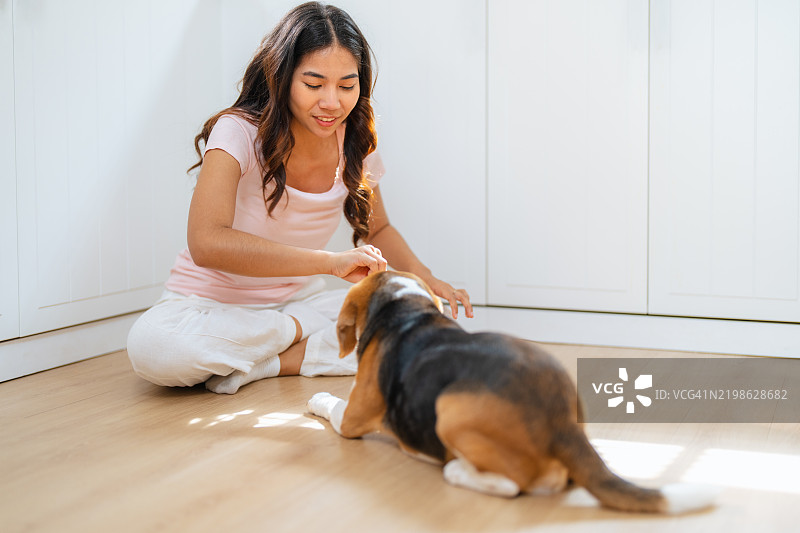 友好的女性主人在厨房喂狗。图片素材