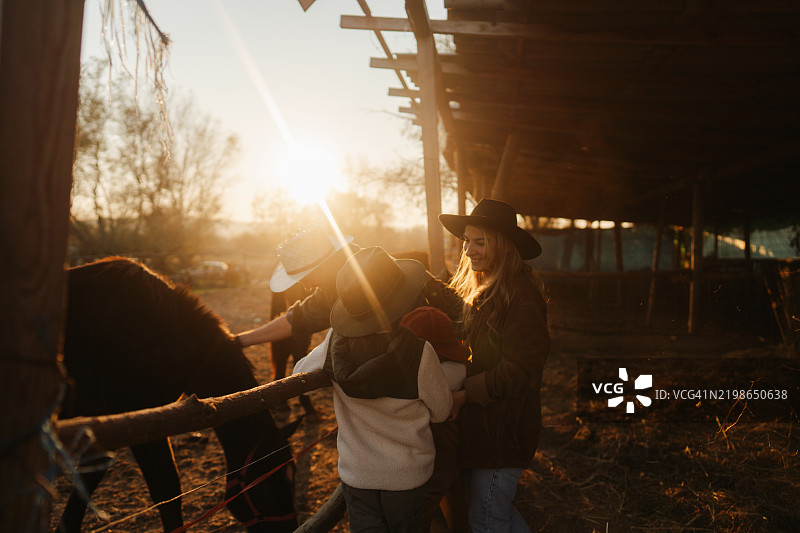 在马厩里图片素材