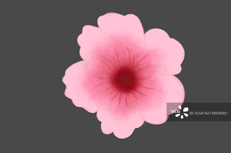 手绘水彩插图的红苹果花组合。矢量图，独立于白色背景。可用于邀请函、电影海报、面料及其他物品的设计元素。图片素材