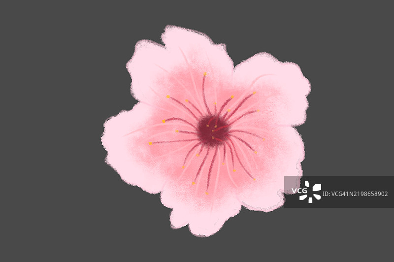 手绘水彩插图的红苹果花组合。矢量图，独立于白色背景。可用于邀请函、电影海报、面料及其他物品的设计元素。图片素材