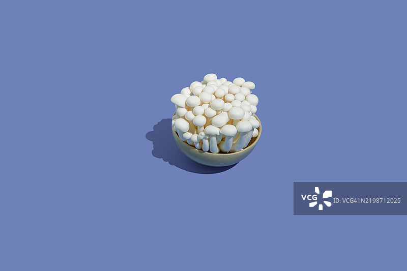 蓝色背景上的白色香菇（榉木）放在碗里图片素材