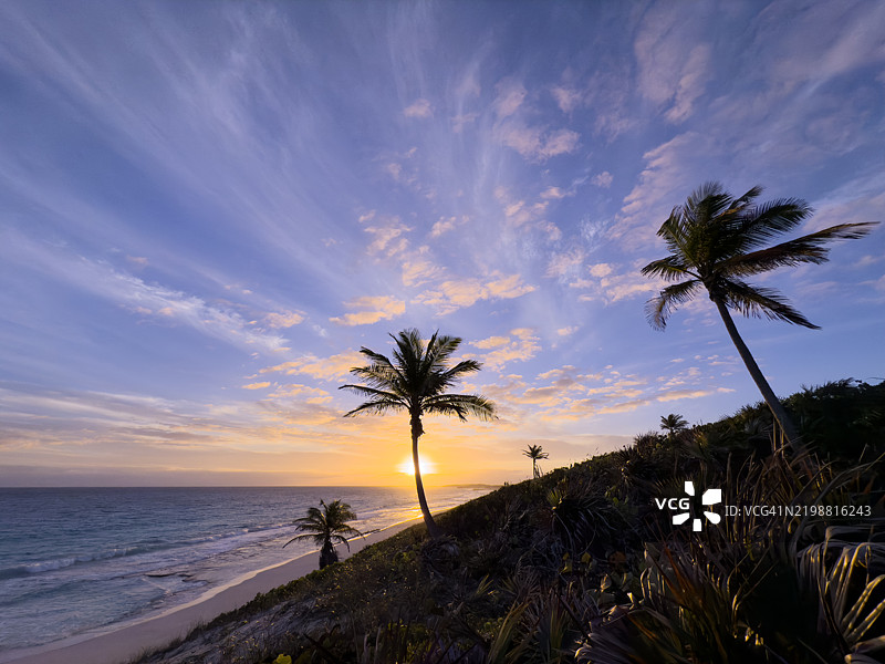 巴哈马埃克苏马群岛的棕榈树与云彩下的日出图片素材