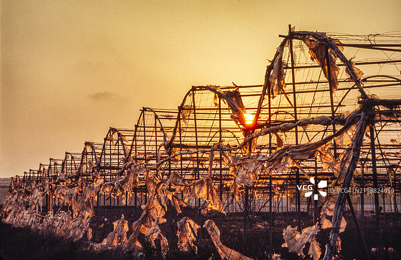 废弃的塑料温室。西班牙安达卢西亚省阿尔梅里亚市埃尔赫希多图片素材