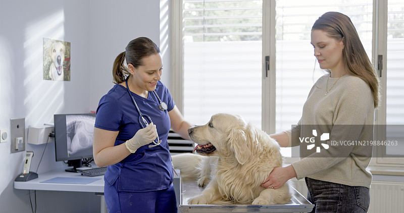 白人兽医学学生在大学诊所检查狗狗图片素材
