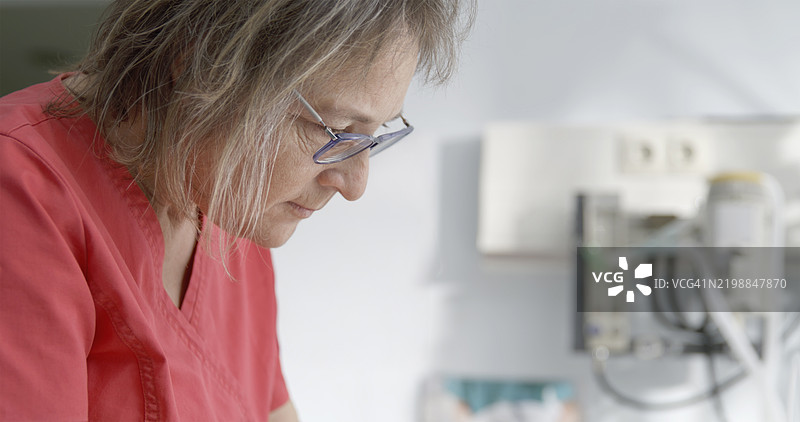 成熟的白人兽医教授准备进行手术图片素材