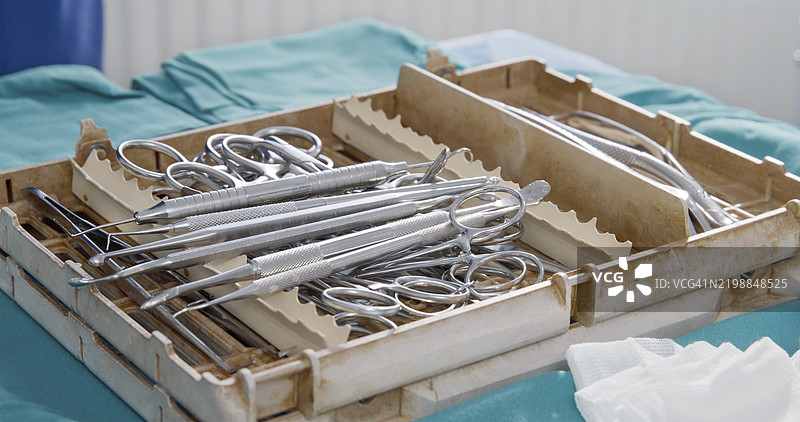 兽医牙科手术工具在无菌托盘上图片素材