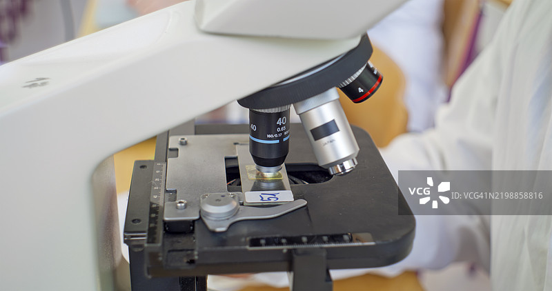 兽医学生在大学课堂上使用显微镜图片素材