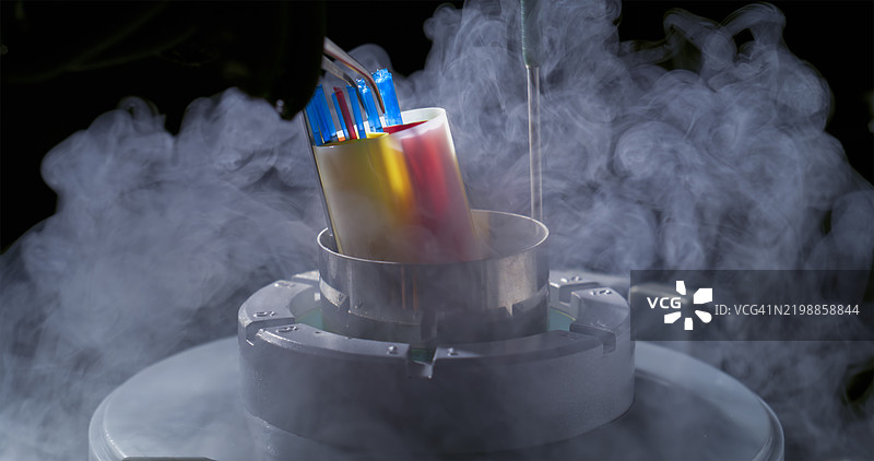 兽医诊所中的先进低温设备图片素材