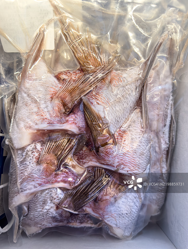 真空密封冷冻红鲷鱼颈部以便储存图片素材