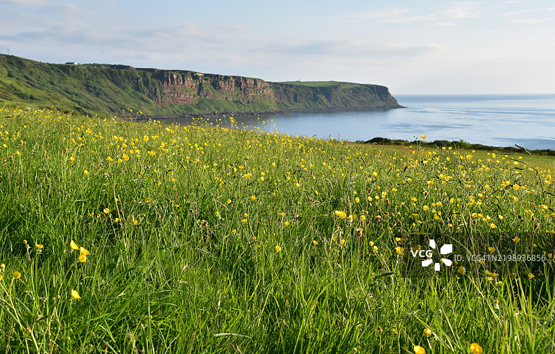 充满希望的自然风光图片素材