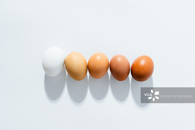 不同颜色的鸡蛋图片素材