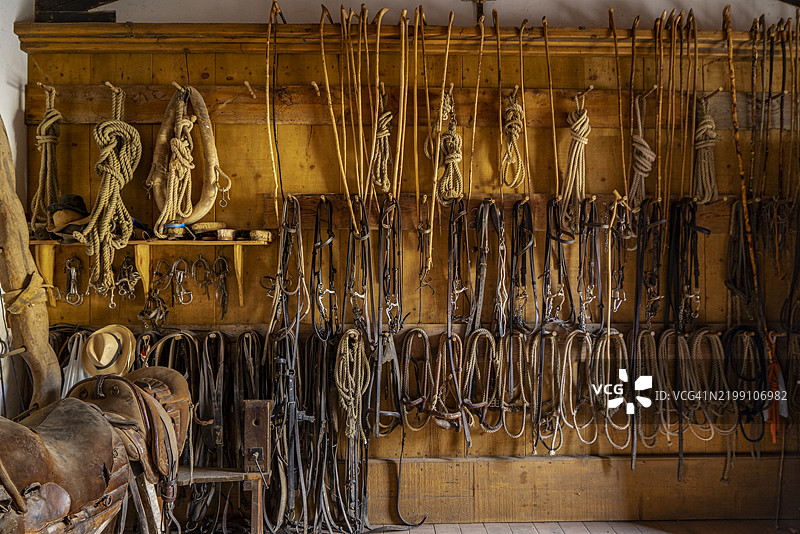 托斯卡纳，马雷马自然公园，布特里牧人的马厩图片素材