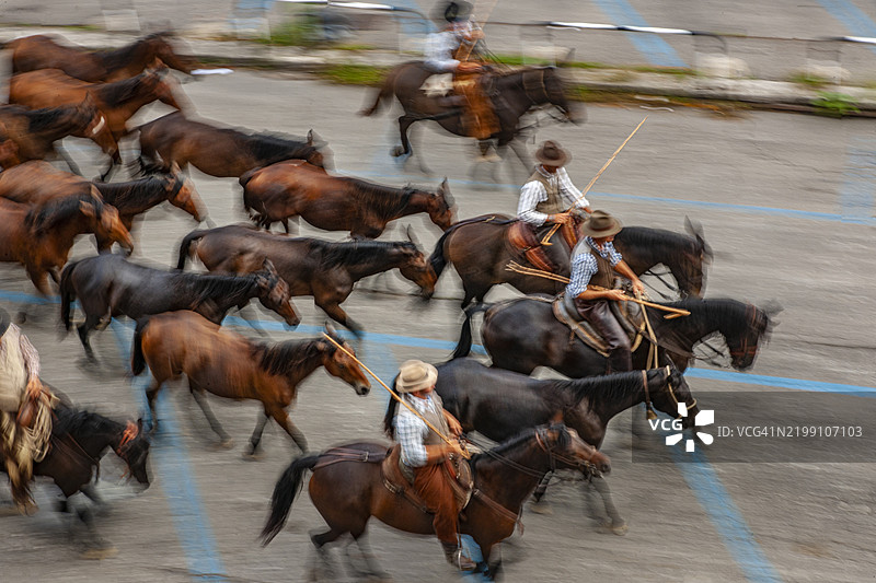 意大利，锡耶纳的迁徙通道图片素材
