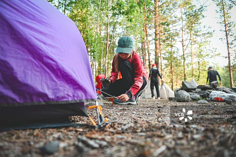 女孩帮助父母在森林露营地搭帐篷图片素材