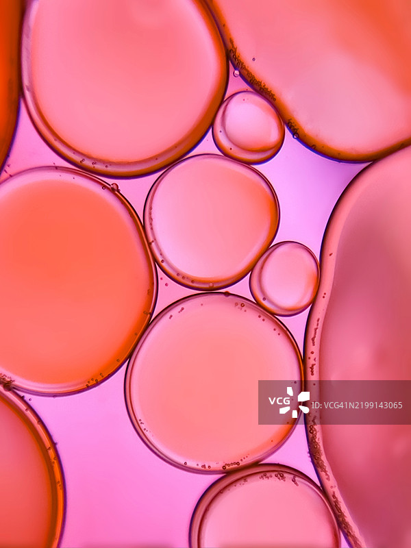 油泡的全景拍摄图片素材