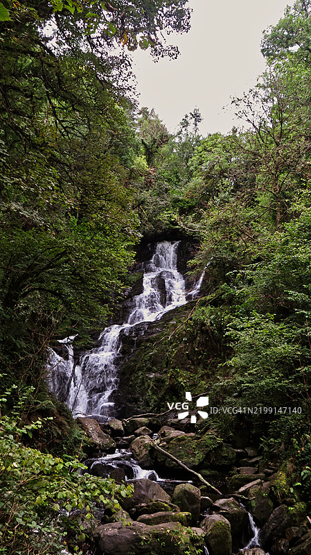 森林中的瀑布景观图片素材