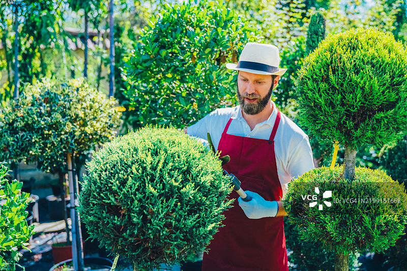 园艺师在花卉中心修剪植物图片素材