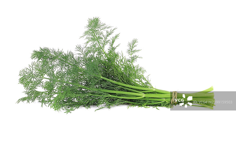 白色背景下的蔬菜特写图片素材