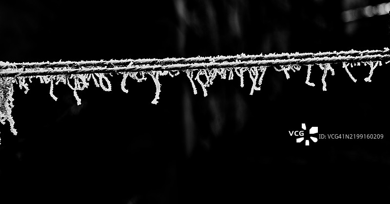 绳子上的霜晶图片素材