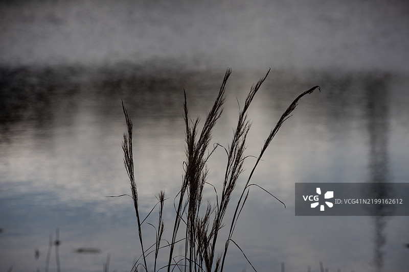 湖泊与草地图片素材