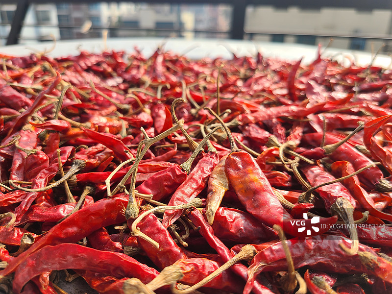 红辣椒特写图片素材