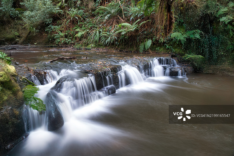 卡特林斯郁郁葱葱的原生森林中的众多小瀑布之一图片素材