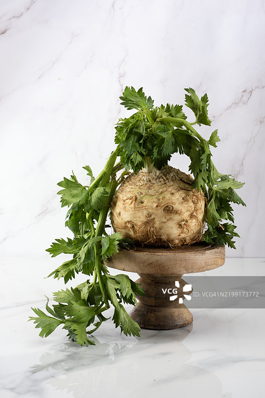 芹菜根静物画图片素材