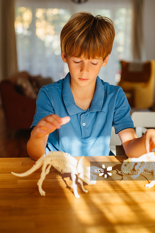 男孩在温暖的阳光下玩恐龙骨架玩具图片素材