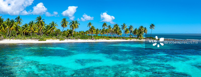 棕榈环绕的天堂：萨沃纳岛宁静的海岸线图片素材