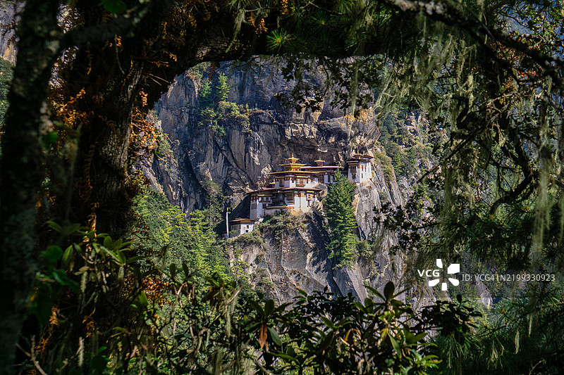 透过树木远眺虎穴寺（帕罗塔克桑），不丹帕罗谷图片素材