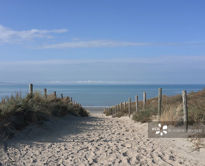 走下沙丘朝向大海图片素材