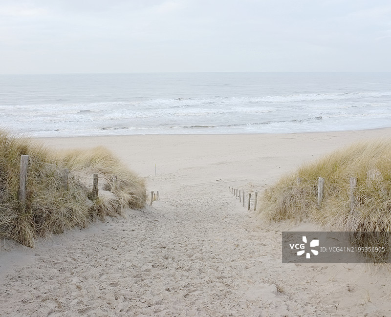 走下沙丘朝向大海图片素材