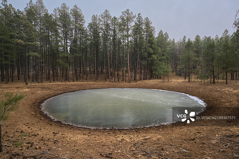 冰冻的坎贝尔牛塘，科科尼诺国家森林，亚利桑那州，美国图片素材