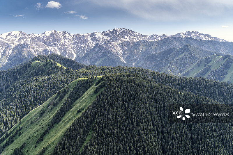 雪山下的草原和森林图片素材