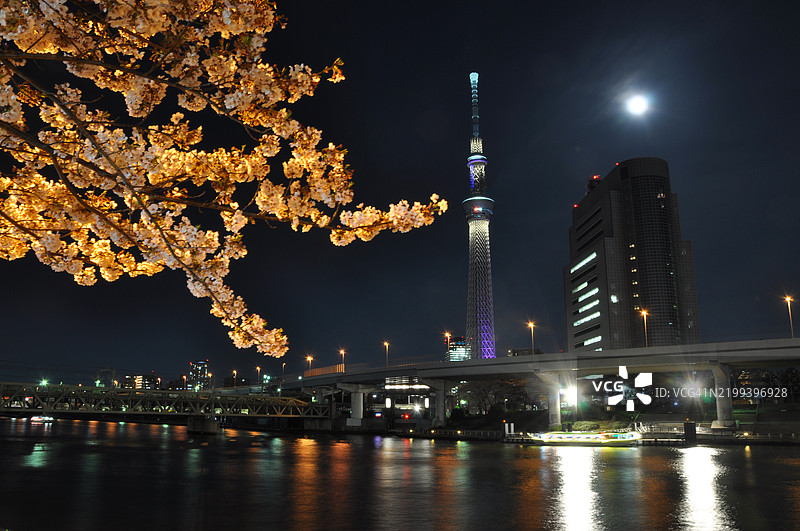东京晴空塔前景有樱花，背景是满月及其在隅田川的倒影图片素材