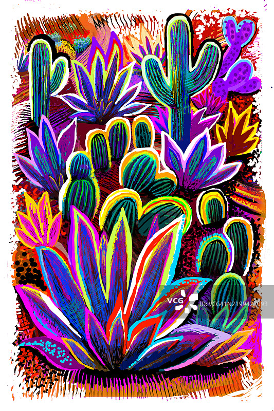 沙漠花园的风景画，仙人掌和开花的仙人掌。图片素材