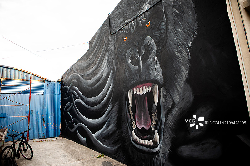 由两位艺术家创作的巨型大猩猩壁画 - 系列作品的一部分图片素材