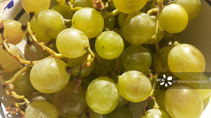 葡萄特写图片素材