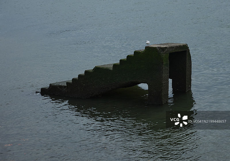 海洋的高角度视图图片素材