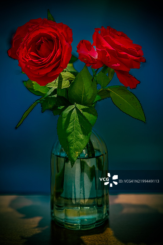 桌子上瓶子里的红玫瑰特写图片素材